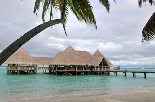 出国游旅行社马尔代夫旅游前十榜单认证+真实口碑双重验证(图3)