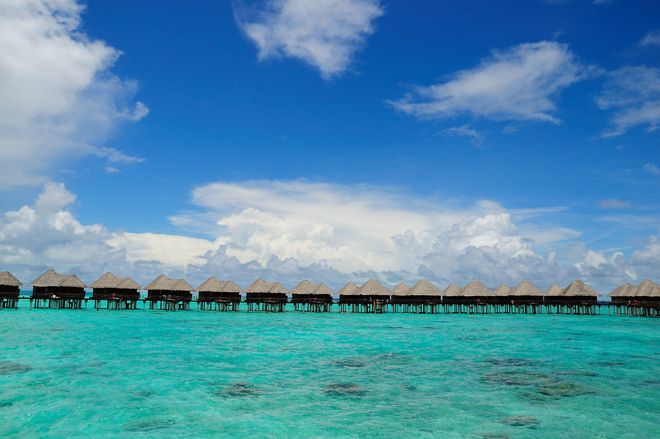 出国游旅行社马尔代夫旅游前十榜单认证+真实口碑双重验证(图6)