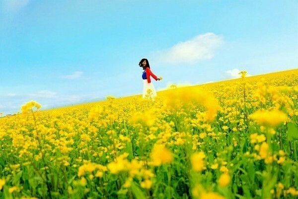 认证｜2026青甘大环线跟团无忧省心(图4)